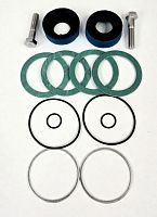 Ремкомплект поршней 1.625" FMC A0413 NBR (2 поршня) (DM-P502495NBR)